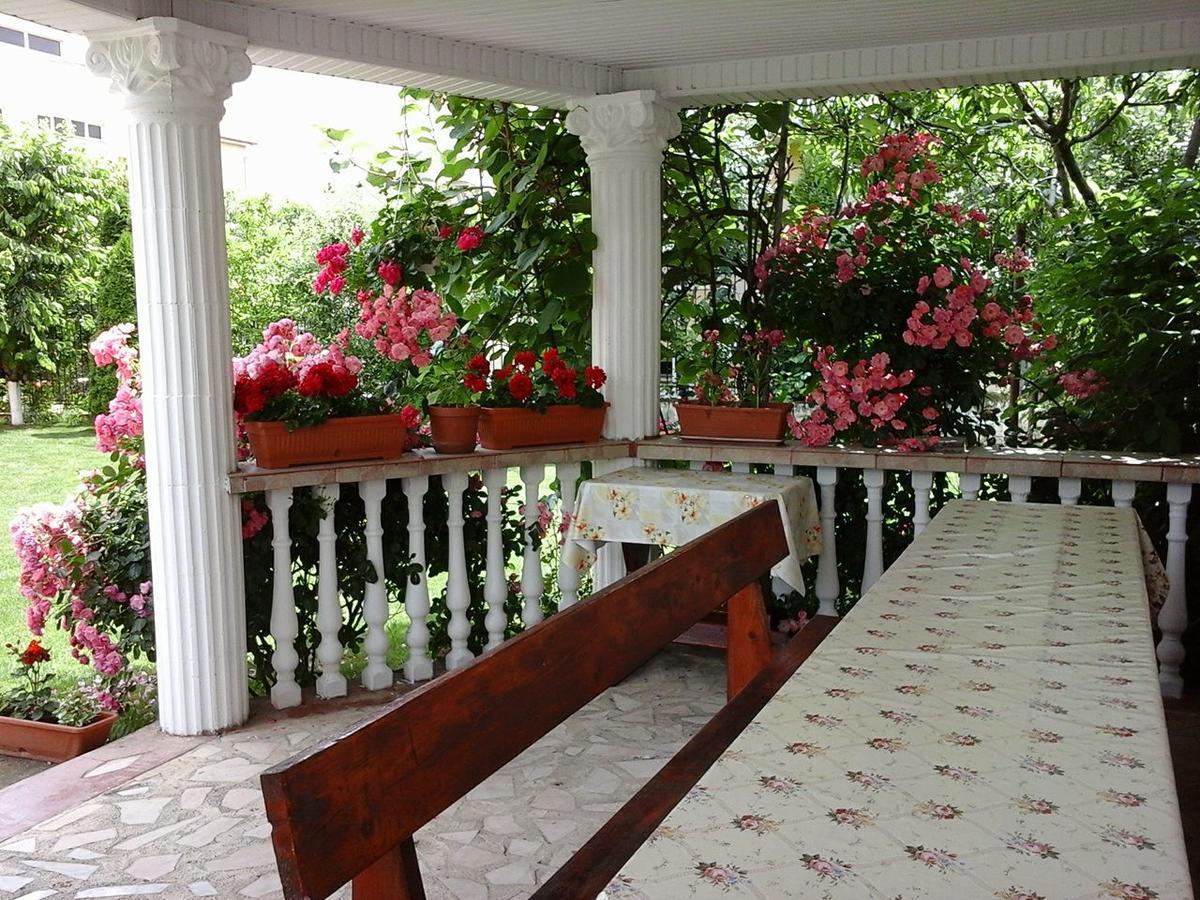Hotel Casa Monica à Băile Felix Extérieur photo