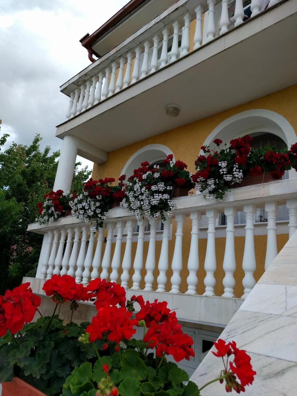 Hotel Casa Monica à Băile Felix Extérieur photo