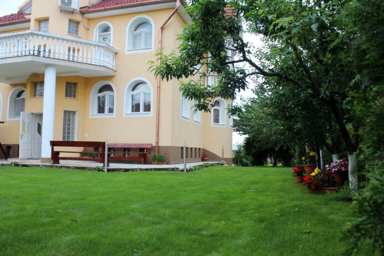 Hotel Casa Monica à Băile Felix Extérieur photo